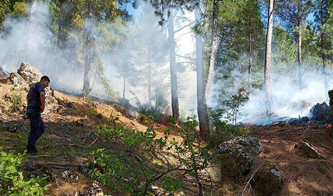 Adana'da 3 noktada orman yangını