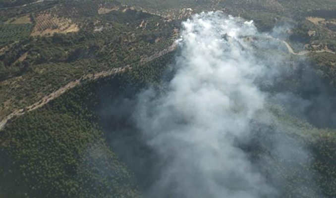 Bodrum ve Didim'de ormanlık alanda yangın