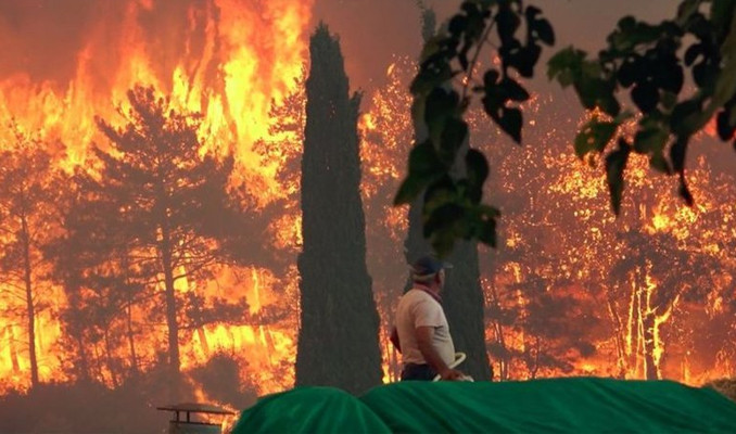 Orman yangınları nasıl aynı anda başladı?