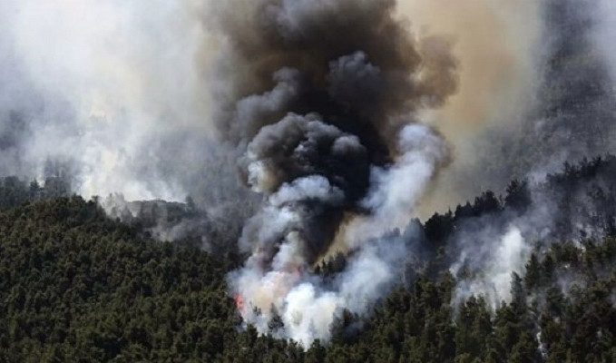 Atina'da devam eden orman yangınlarında 80-90 bin dönüm arazi kül oldu