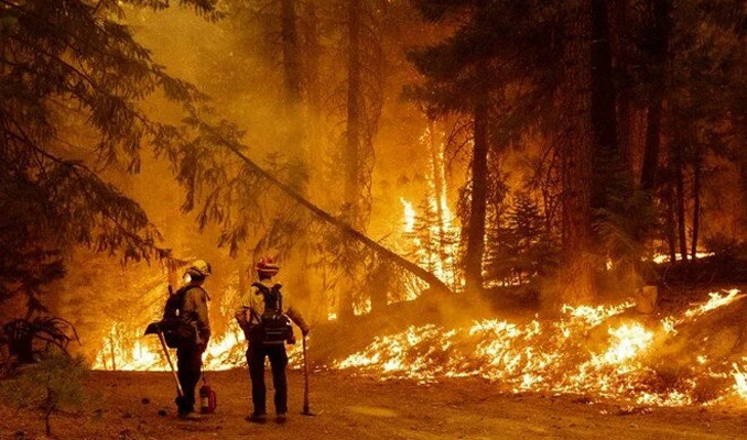 California'nın en büyük ikinci yangını! 705 bin dönümlük alan kül oldu