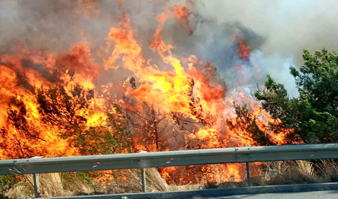 Yangın bölgelerine aktarılan kaynak 39 milyon TL'ye ulaştı