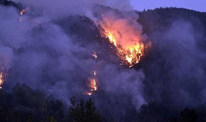 Orman yangınlarında son durum: 6 kentte alevlerle mücadele 