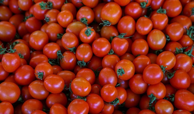 Türkiye'nin 8 aylık yaş meyve sebze ihracatını domates ve kiraz üstlenti