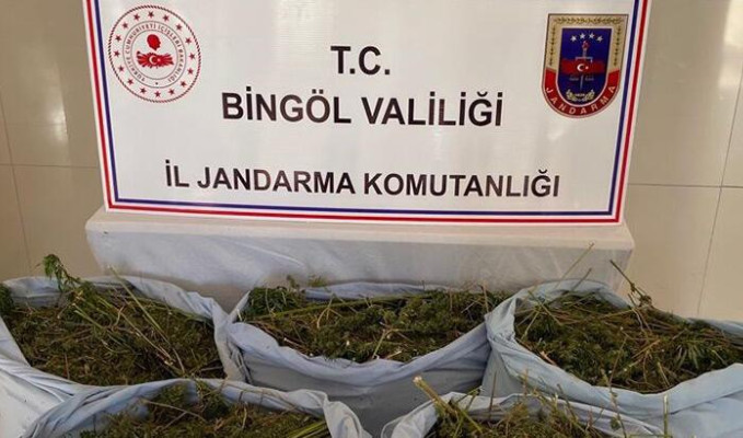 Bingöl'de 78 kilo esrar ele geçirildi