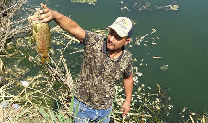 Büyük Menderes'te balık ölümleri! Nedeni ortaya çıktı