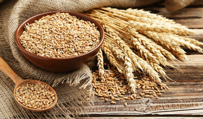 Kazakistan, Afganistan'a buğday ve un ihraç etmeye devam edecek