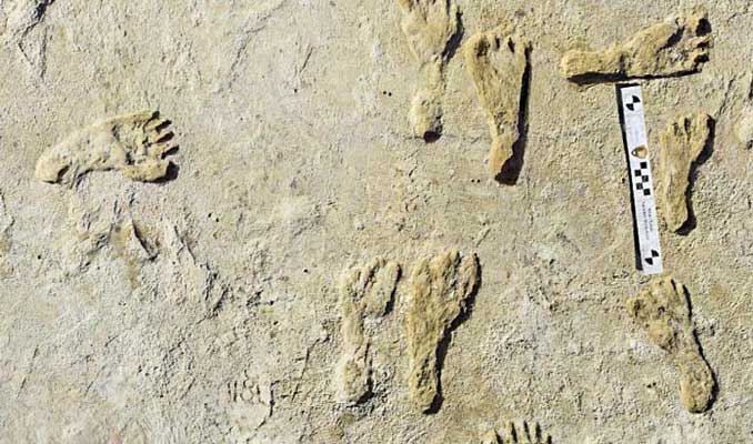 ABD'de 23 bin yıllık insan ayak izleri keşfedildi
