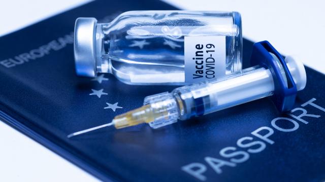 Aşı pasaportunu alan yurtdışına çıkıyor