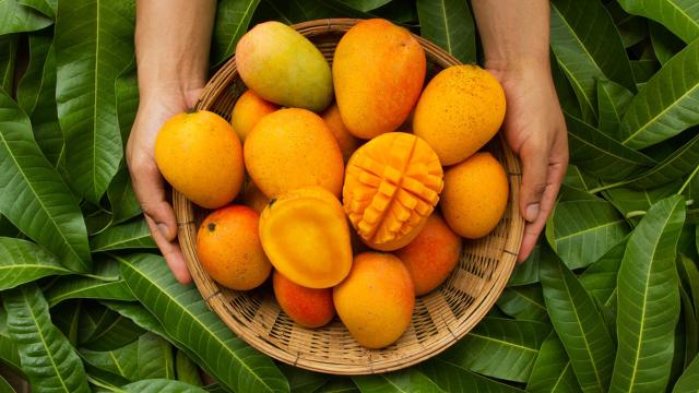Tropikal meyve ihracatı 14 milyon doları aştı