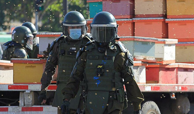 Şili’deki protestoda binlerce arı polisleri soktu
