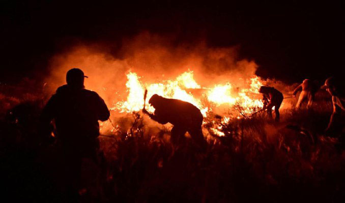 Arjantin'de orman yangını: 80 bin hektarlık alan zarar gördü