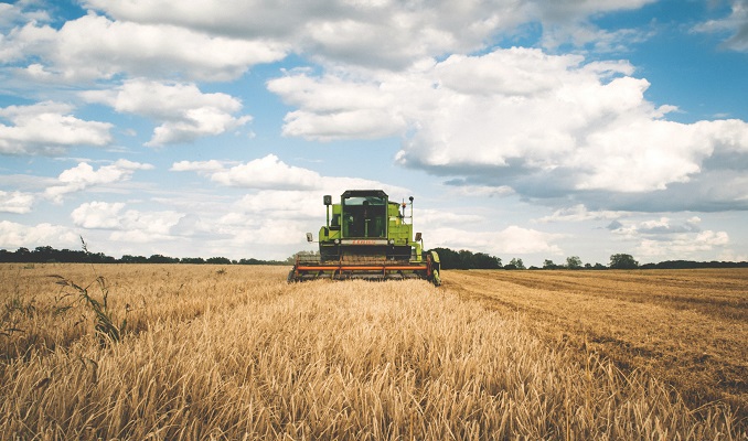 Tarım sektöründe 10 aylık ihracat rekor kırdı