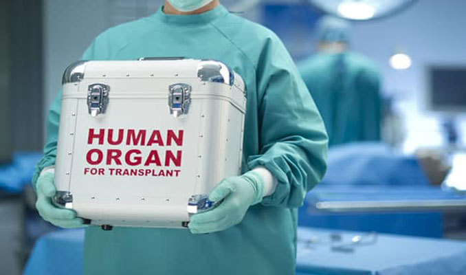 Organ bağışı sahtekarlığına büyük ceza