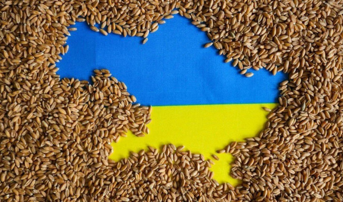 Ukrayna tahıl ihracatında düşüş bekleniyor