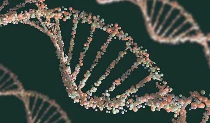 2 milyon yıllık DNA bulundu