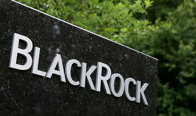 BlackRock: Fed tahvil alımlarını durdurmalı