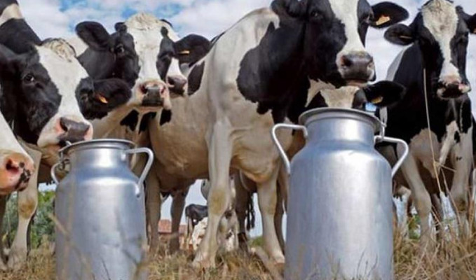 Çiftçilerden et ve süt üretimini azaltmaları istendi