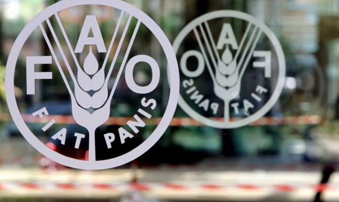 FAO uyardı! Gıda fiyatlarında yüzde 20 artış