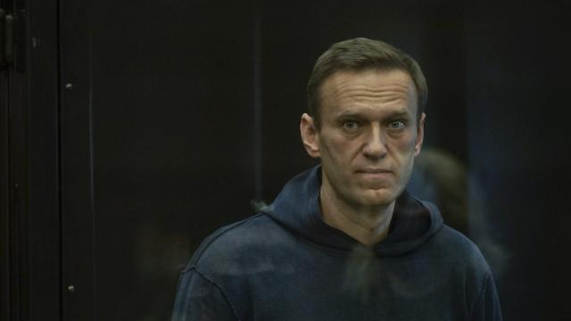 AB, Rus muhalif Navalnıy'a hapis cezası verilmesini kınadı