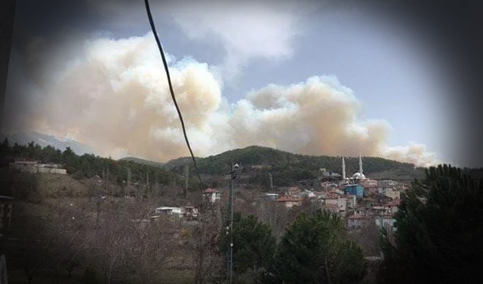 Bursa'da orman yangını!