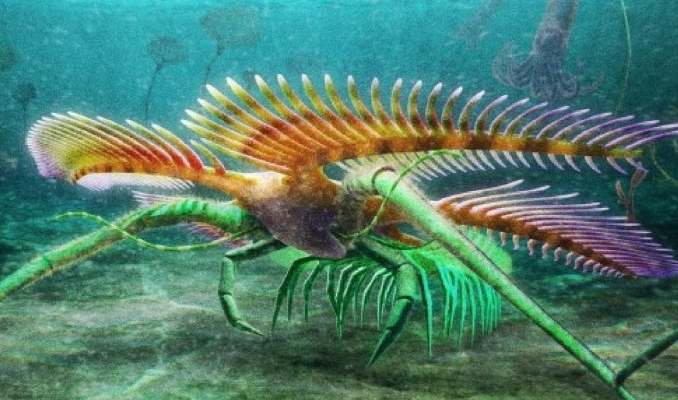 Nadir görülen bir deniz canlısının 450 milyon yıllık fosili bulundu