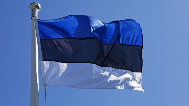 Estonya'dan Ukrayna'ya hibe