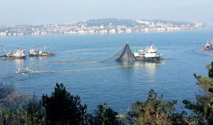 Marmara'da balık stoku azaldı