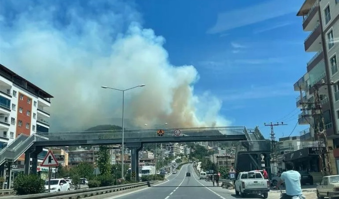 Hatay ve Burdur'da orman yangını!