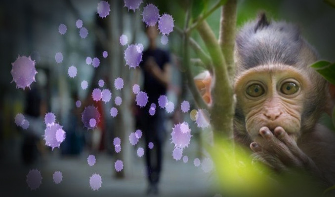 Maymun çiçeği: 4 başlıkta sosyal medyadaki yanlış iddialar!