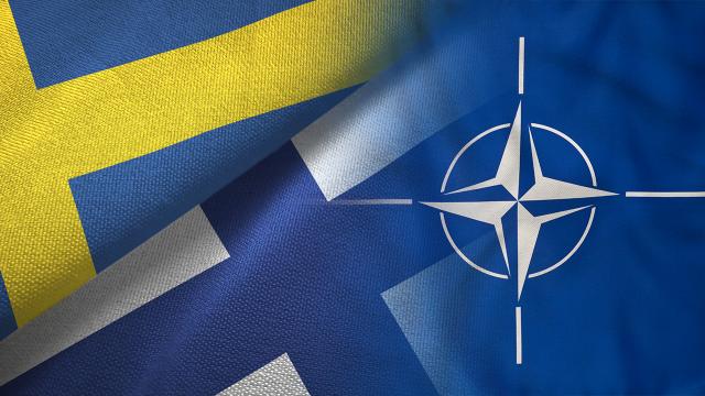 Finlandiya Cumhurbaşkanı'ndan NATO'ya üyelik tahmini