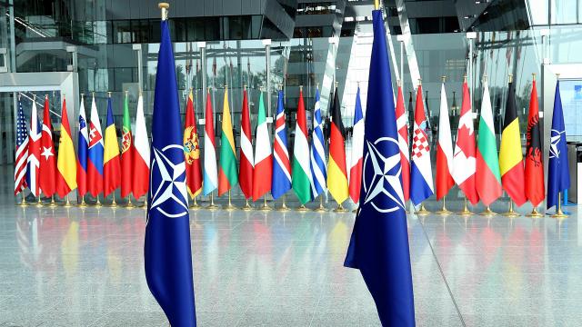 NATO ülkelerinde halkın ittifaka desteği arttı