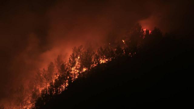 Marmaris'teki orman yangınına havadan ve karadan müdahale sürüyor