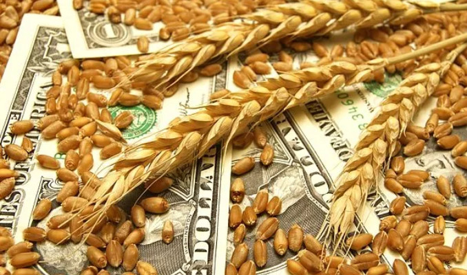 Buğday, küresel gıda krizinin en ciddi ayağını oluşturuyor