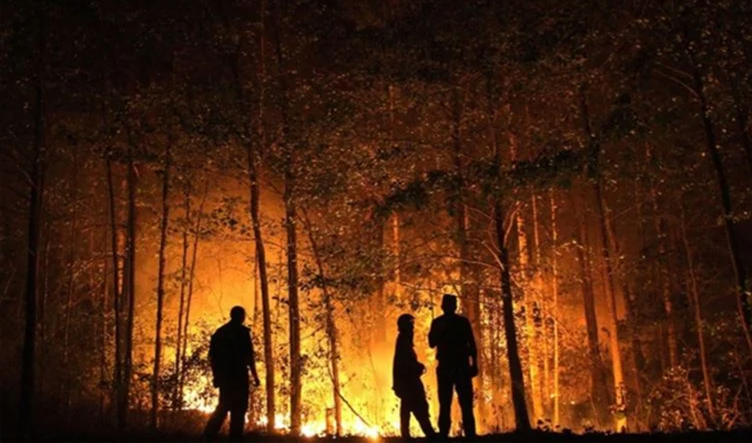 Portekiz'de bir çok noktada orman yangını: 29 yaralı
