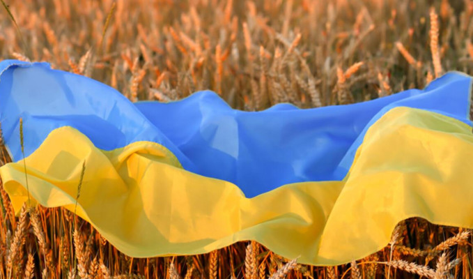 Ukrayna’da tahıl sevkiyatı anlaşması sonrası çalışmalar hızlandı