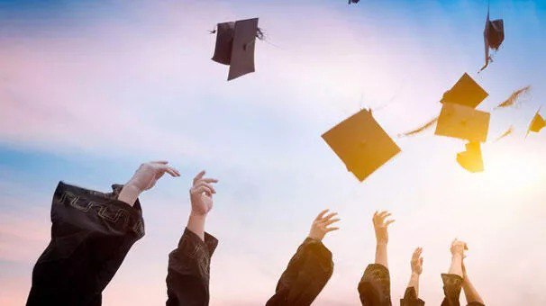Üniversite mezunlarında istihdam oranı yüzde 71,1 oldu
