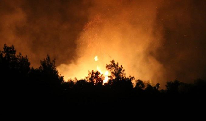  Arjantin'de ordu orman yangınlarına müdahale için devrede