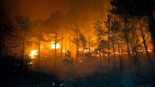 Konya'da çıkan orman yangını kontrol altına alındı