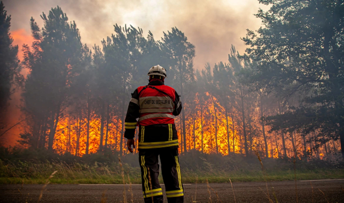 İtalya ve İspanya'nın orman yangınlarıyla mücadelesi 