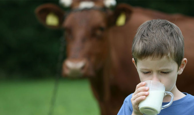 Okul çağındaki çocuklara süt desteği çağrısı 