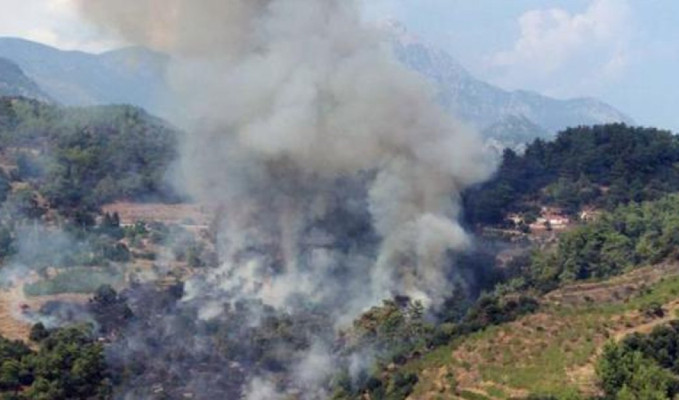  Antalya Kumluca'da orman yangını