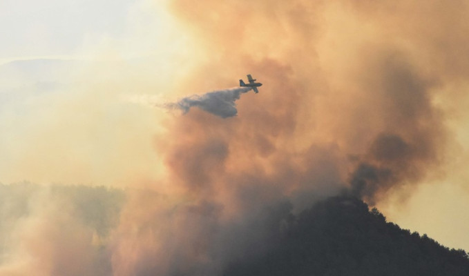 Muğla Ula'daki orman yangınıyla ilgili 1 kişi yakalandı