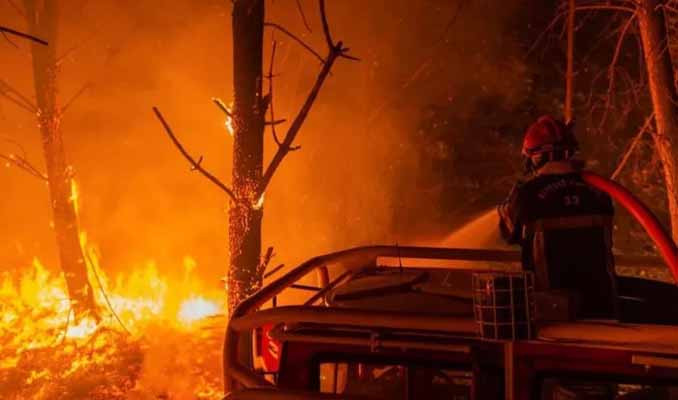 AB'deki yangınlarda bu sene 750 bin hektar alan kül oldu