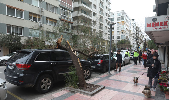  İzmir'de fırtına ağaçları devirdi, çatıları uçurdu