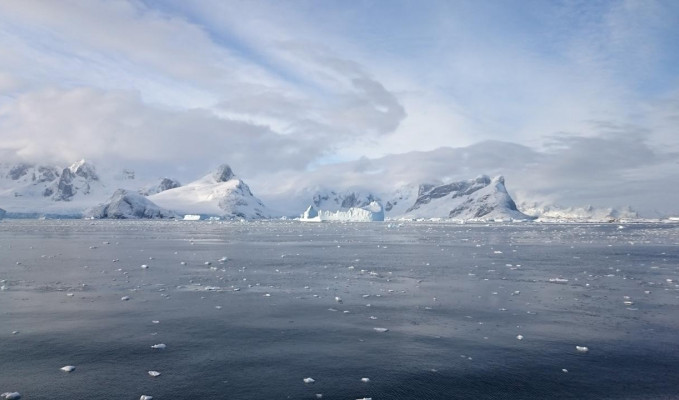 Antarktika'da yeni bir deniz canlısı keşfedildi