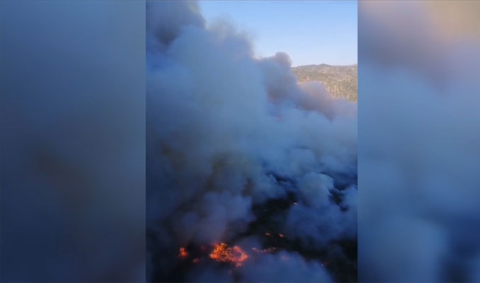 İzmir'de orman yangını: Ekipler sevk edildi