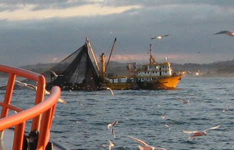 Balıkçılar 'Vira bismillah' diyecek