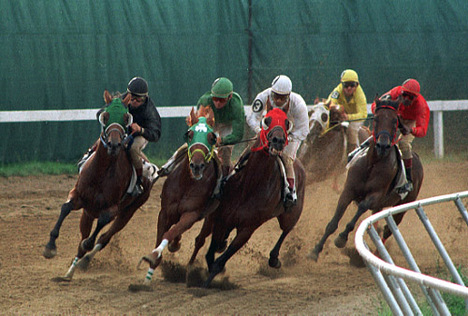 At yarışları özelleştiriliyor