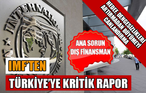 IMF'ten kritik Türkiye raporu